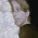Picture of Dongmei YANG (Eira)